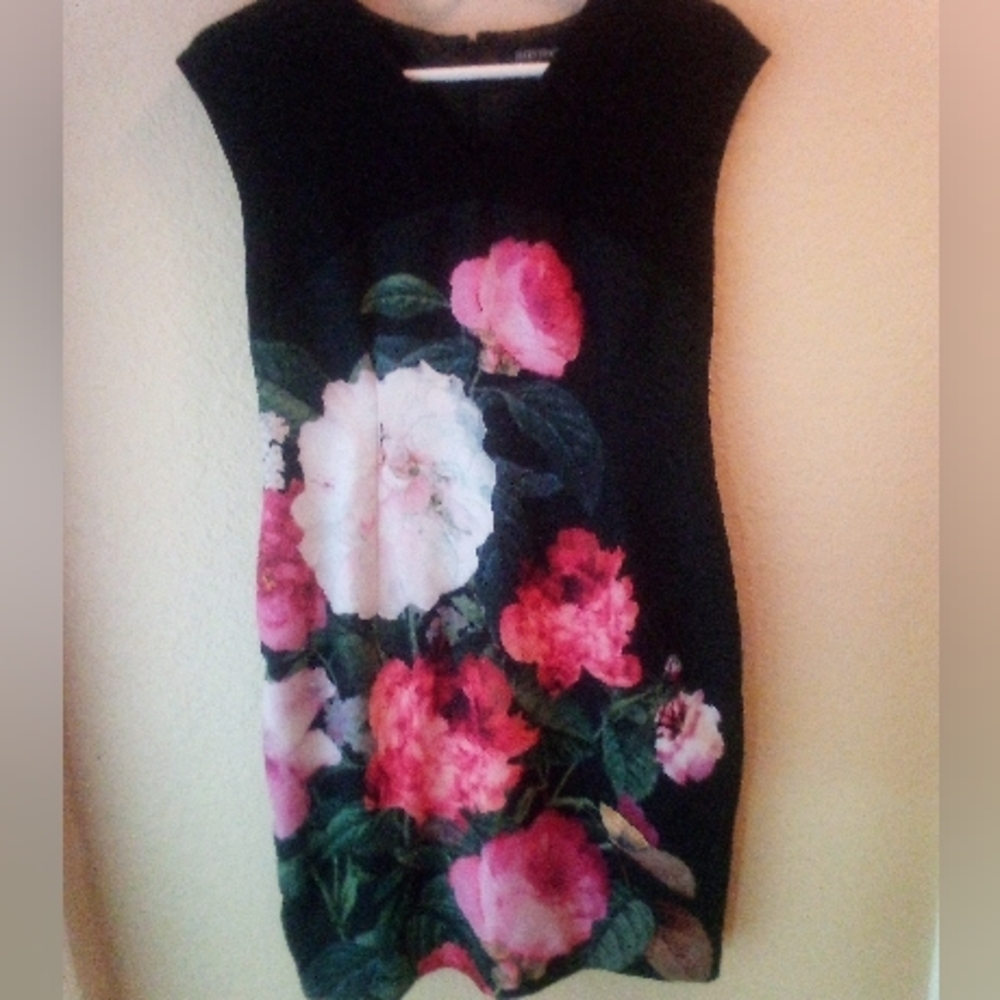 Beautiful Ellen Tracy Dress